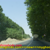 عکس های زیبای شهرقدس